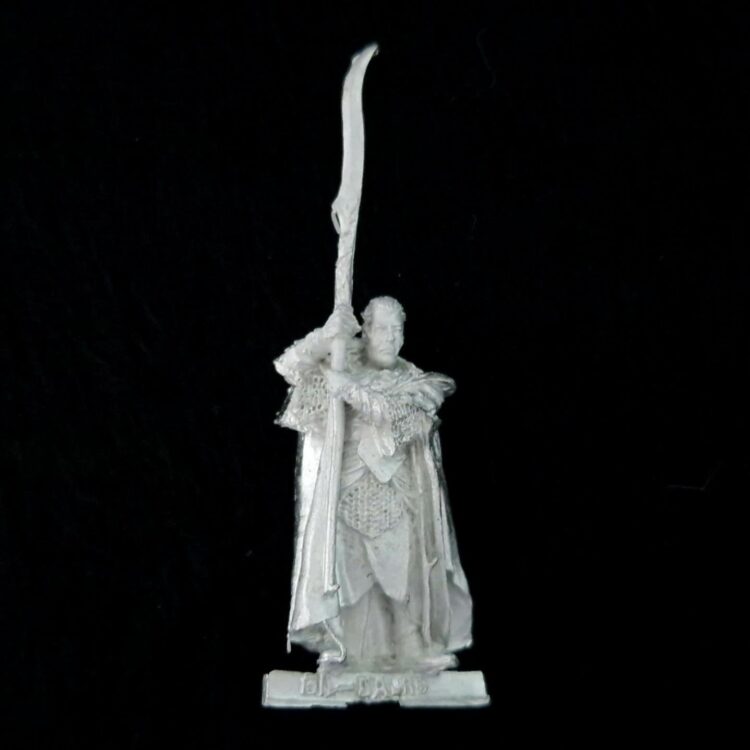 A photo of a Rivendell Gil-Galad Warhammer miniature