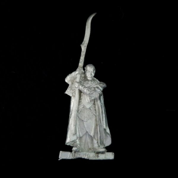 A photo of a Rivendell Gil-Galad Warhammer miniature