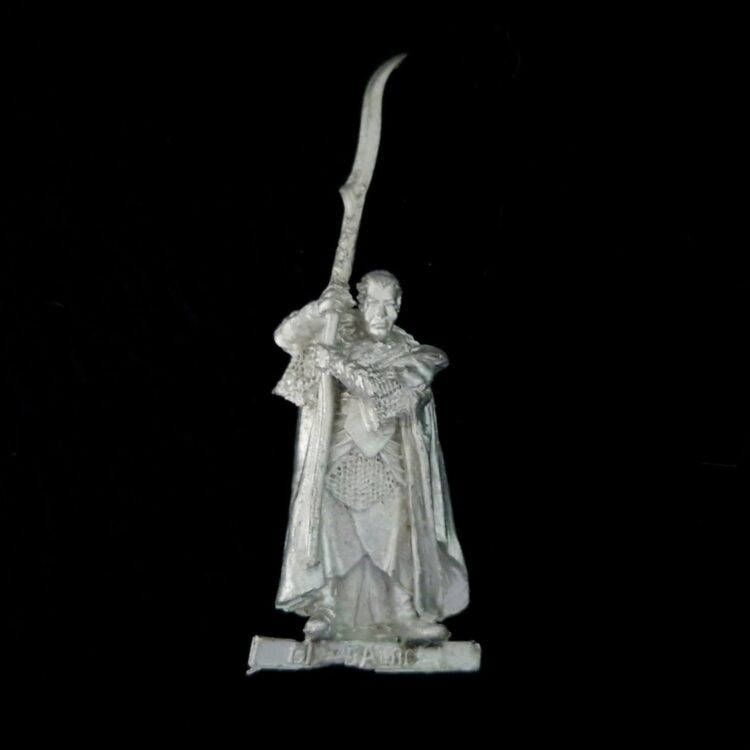 A photo of a Rivendell Gil-Galad Warhammer miniature