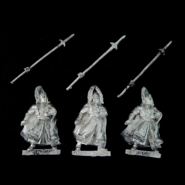 A photo of Guards of the Fountain Court Middle Earth Warhammer miniatures