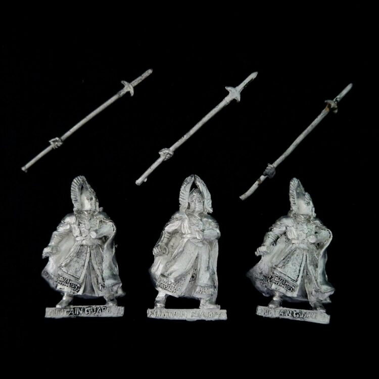 A photo of Guards of the Fountain Court Middle Earth Warhammer miniatures
