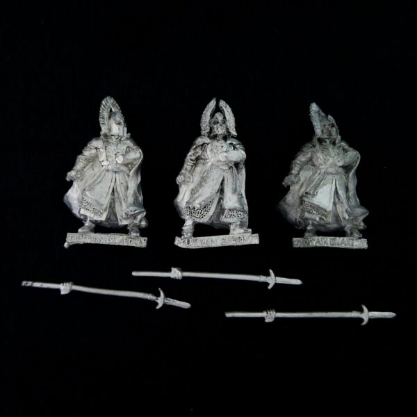 A photo of Guards of the Fountain Court Middle Earth Warhammer miniatures