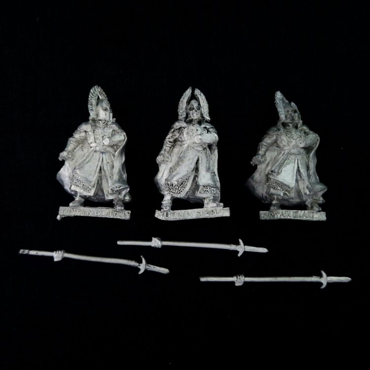 A photo of Guards of the Fountain Court Middle Earth Warhammer miniatures
