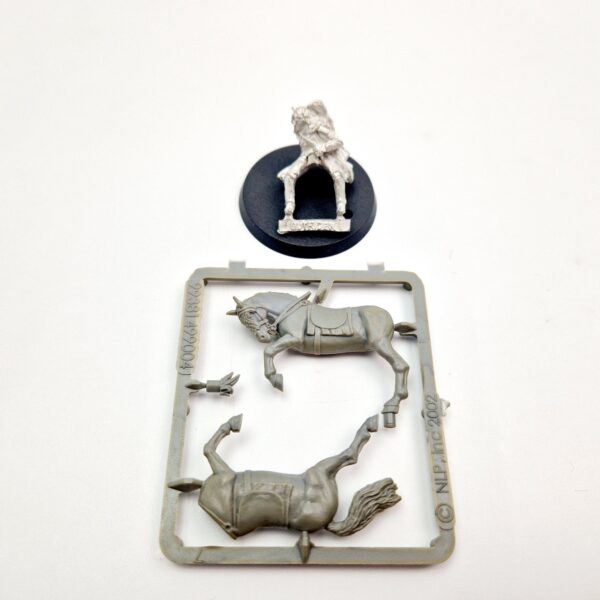 A photo of a Rohan Outrider Middle Earth Warhammer miniature