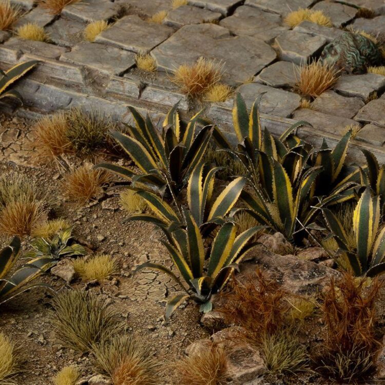 A photo of Gamers Grass Agave Laser Plant