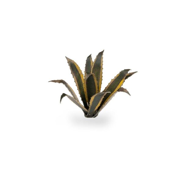 A photo of Gamers Grass Agave Laser Plant