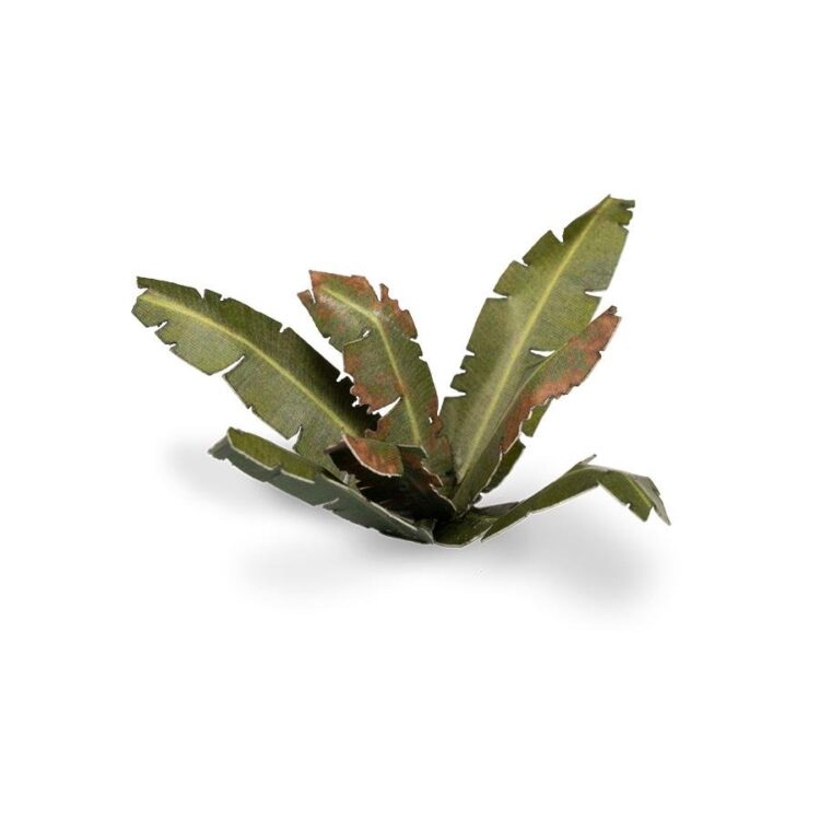 A photo of Gamers Grass Banana Tree Laser Plant
