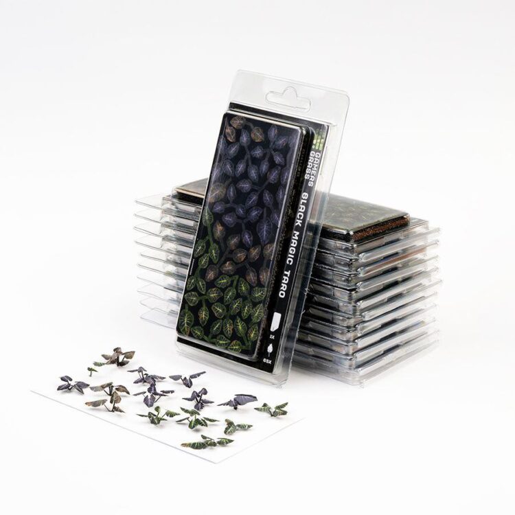 A photo of Gamers Grass Black Magic Taro Laser Plant