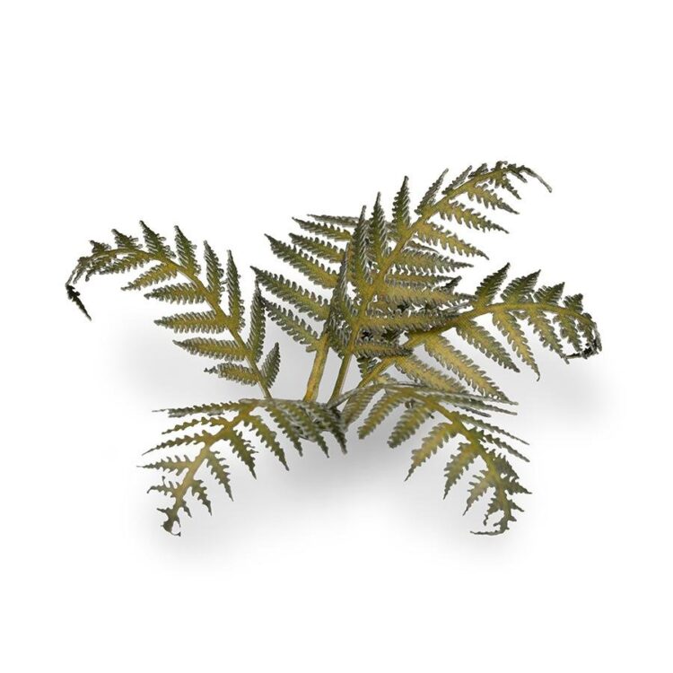 A photo of Gamers Grass Bracken Laser Plant