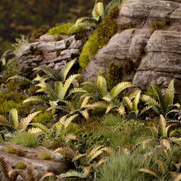 A photo of Gamers Grass Deer Fern Laser Plant