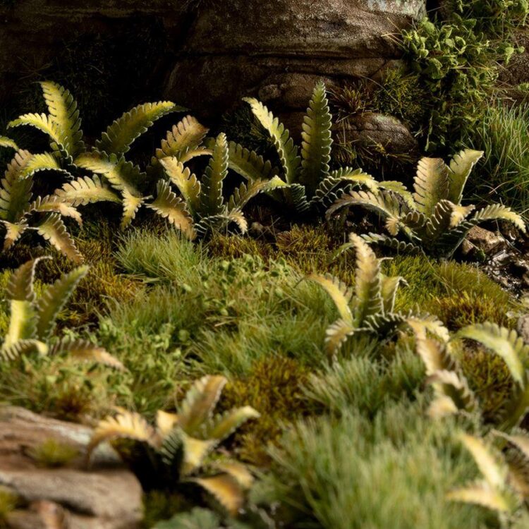 A photo of Gamers Grass Deer Fern Laser Plant