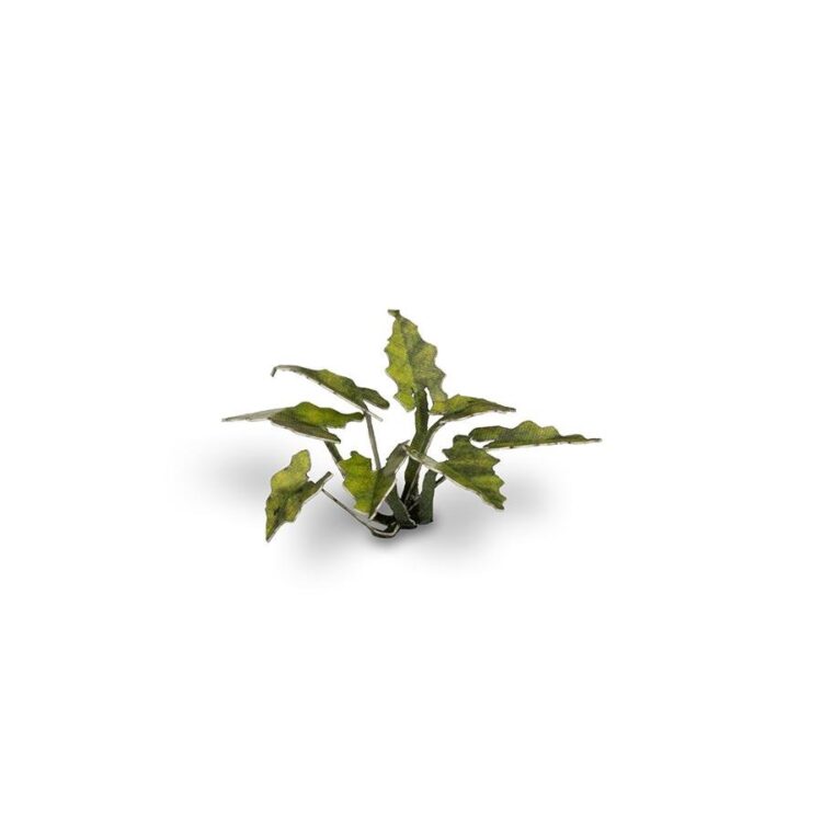 A photo of Gamers Grass Lords-and-Ladies Laser Plant