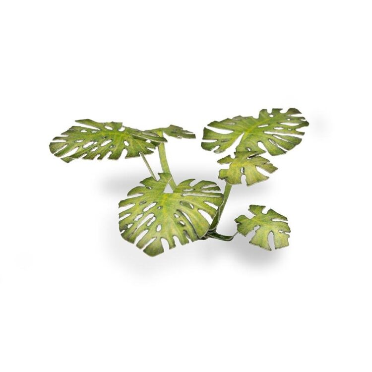 A photo of Gamers Grass Monstera Laser Plant