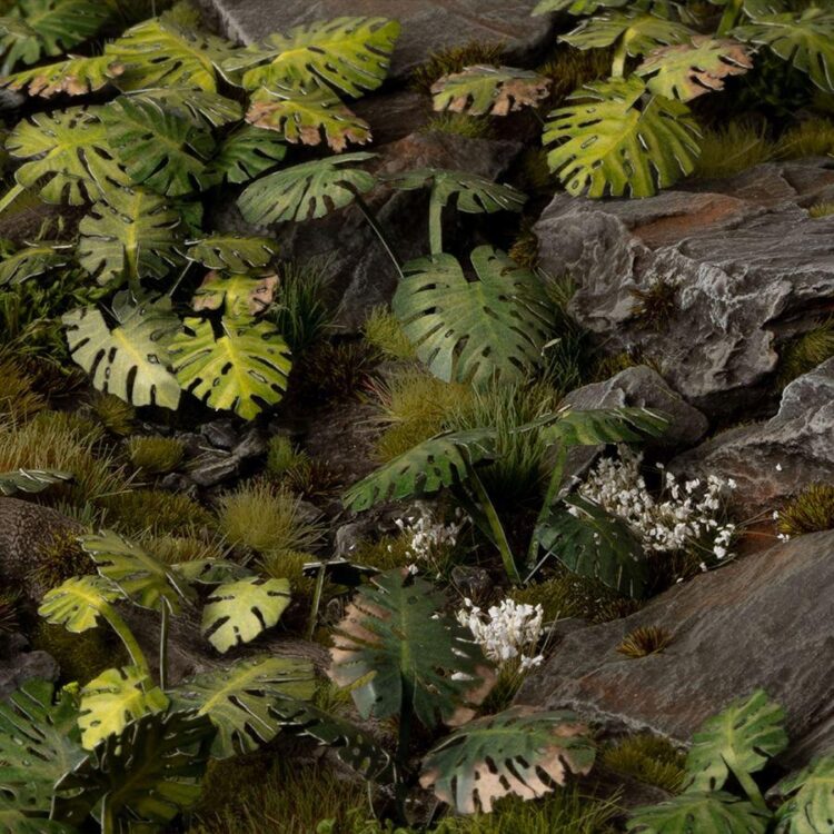 A photo of Gamers Grass Monstera Laser Plant