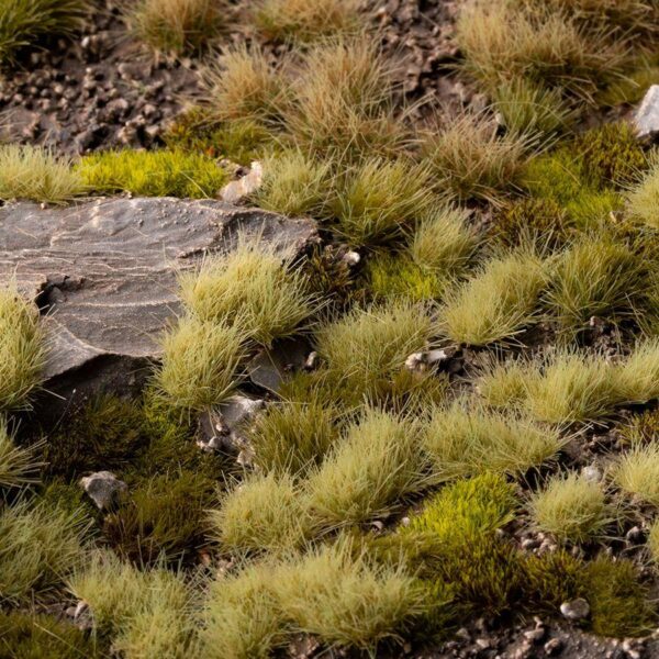 Grass Tufts