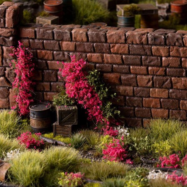 Flowers and Shrubs