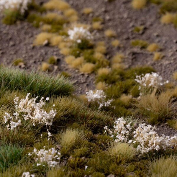 A photo of Gamers Grass White Flowers Tufts