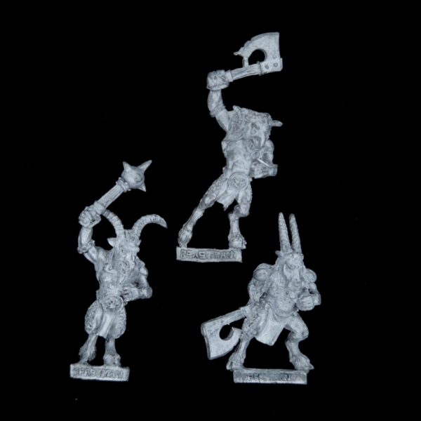 A photo of Beasts of Chaos Beastmen Warhammer miniatrues