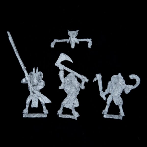 A photo of Beasts of Chaos Beastmen Command Warhammer miniature