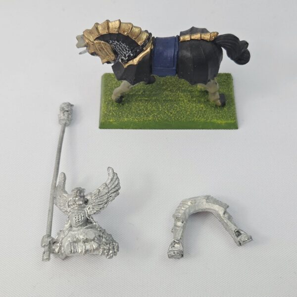 A photo of a The Empire Knights Panther Standard Bearer Warhammer miniature