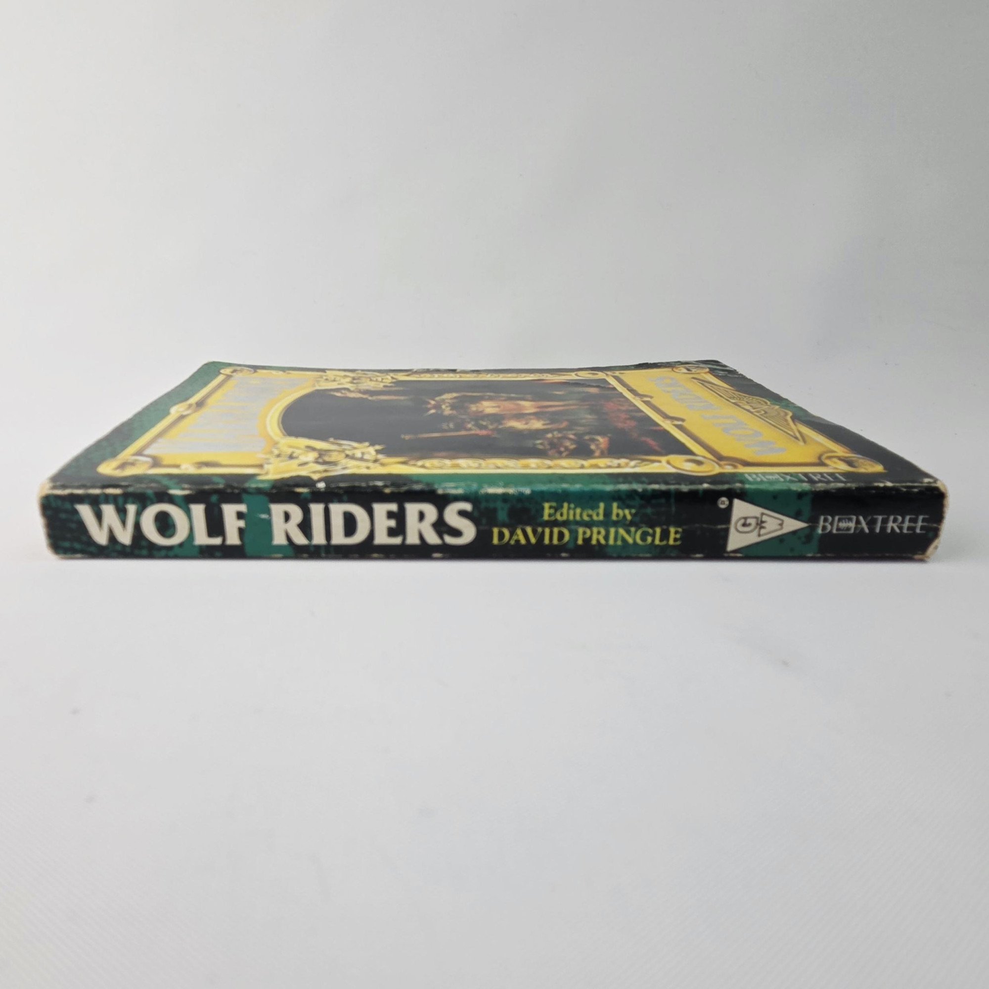 A photo of a Warhammer Wolf Riders Novel