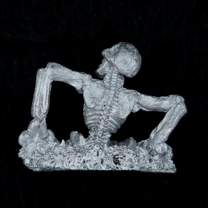 A photo of a Undead C17 Skeleton Warhammer miniature