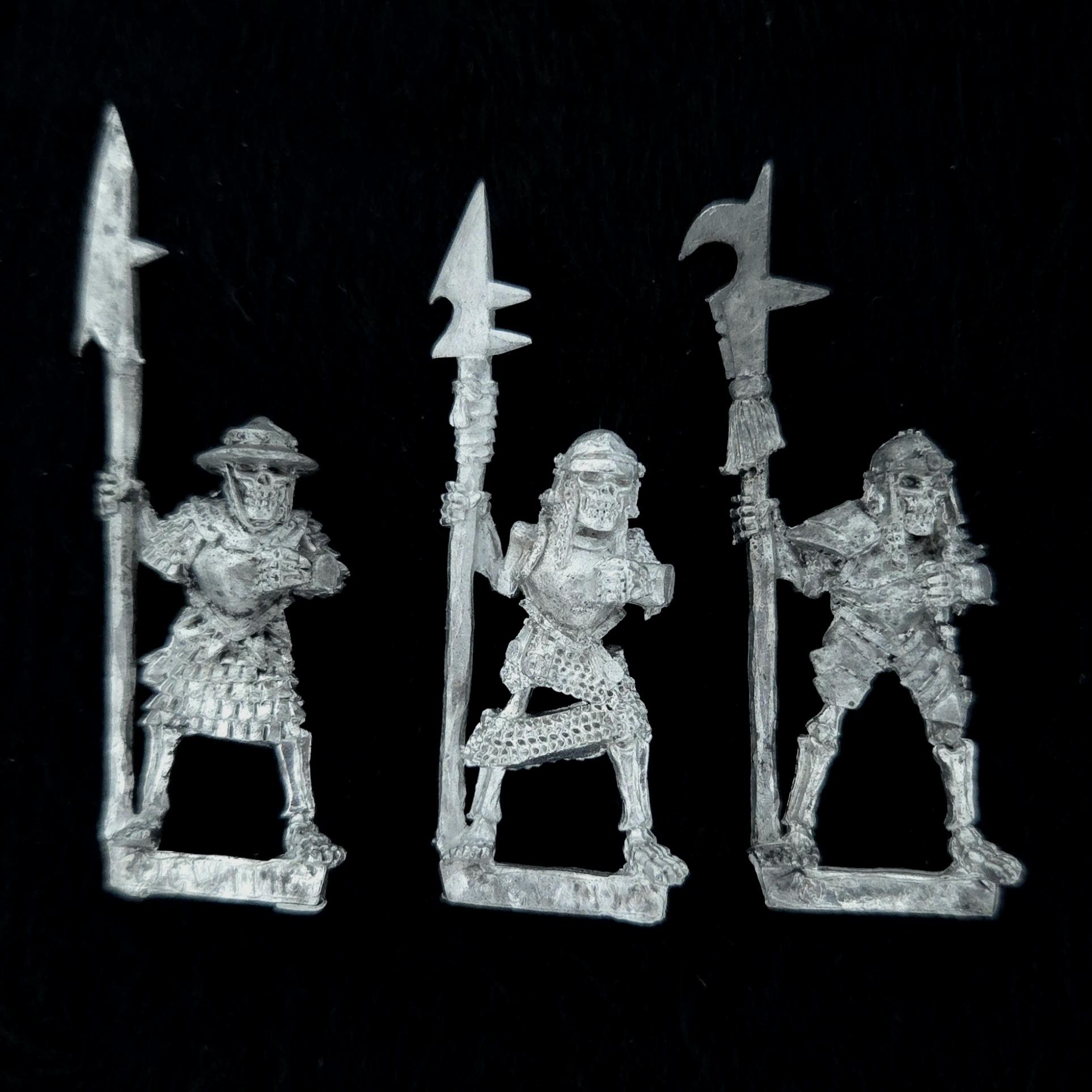 A photo of Undead Armoured Skeletons Warhammer miniatures