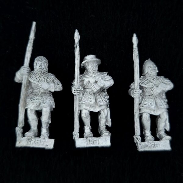 A photo of a Bretonnia Men at Arms with Spears Warhammer miniatures
