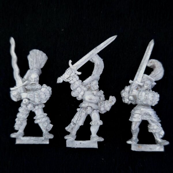 A photo of The Empire Imperial Greatswords Warhammer miniatures
